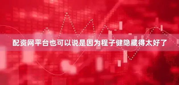 配资网平台也可以说是因为程子健隐藏得太好了