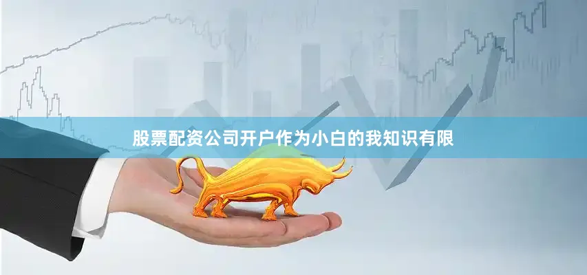 股票配资公司开户作为小白的我知识有限