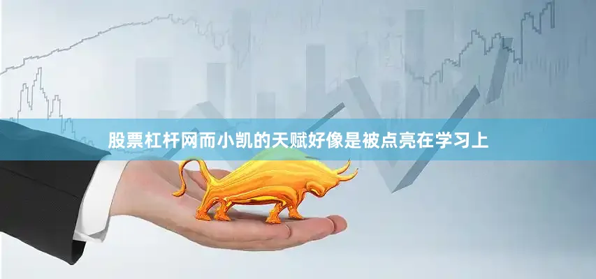 股票杠杆网而小凯的天赋好像是被点亮在学习上